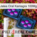 Oral Jelly Kamagra 100Mg 03